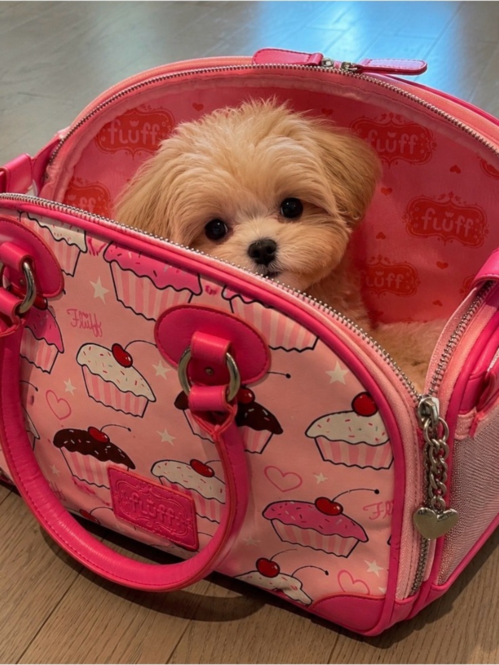 FLUFF Pet Carrier Small Dog Cat Cupcakes Pink Excellent Condition 14"x7.5"x10"